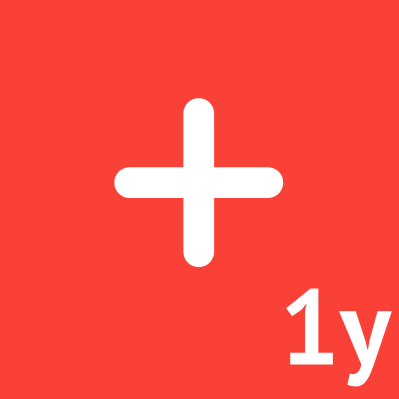 AnyDesk dodatkowe połączenie Standard na 1 rok